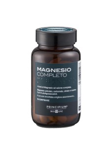 PRINCIPIUM MAGNESIO COMP 90CPR