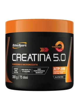 CREATINA 5.0 300G