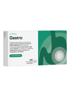 PRORELIEF GASTRO 20CPR MASTIC