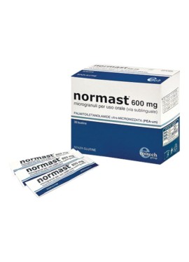 NORMAST 600MG MICROGR 30BUST