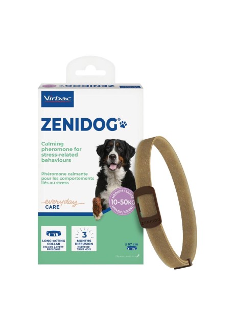 ZENIDOG COLLARE CANE ANTISTRES
