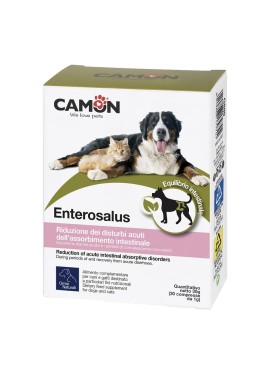 ENTEROSALUS 30CPR 1G