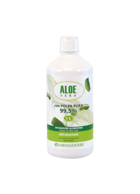 ALOE VERA SUCCO POLPA 1000ML