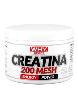 WHYSPORT CREATINA 200 MESH200G