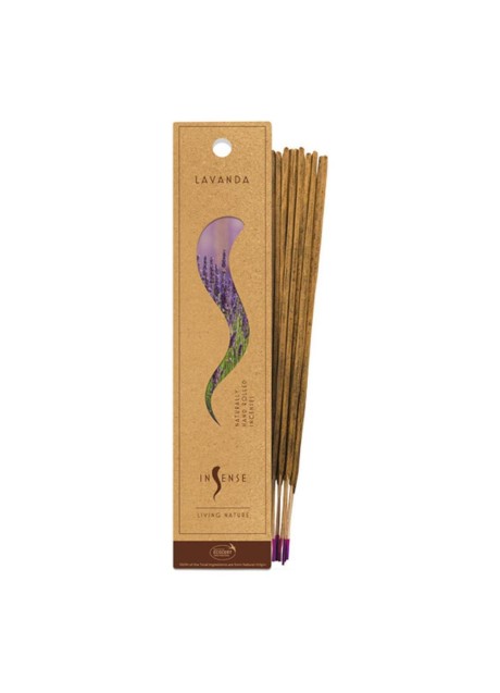 INCENSO LAVANDA 10STICK