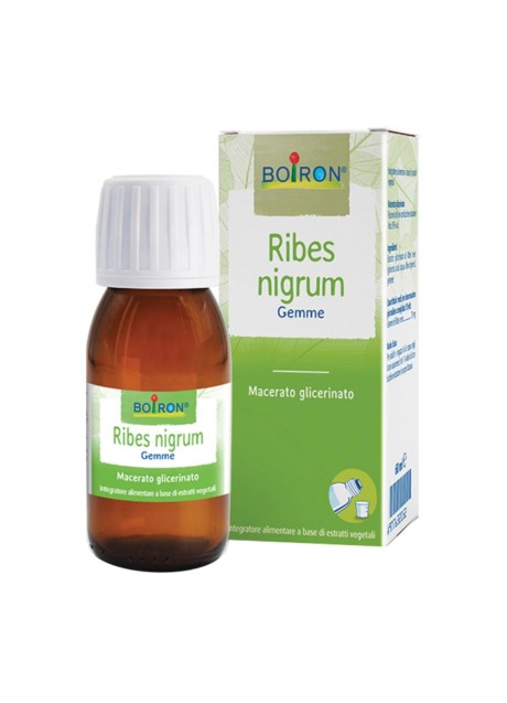 RIBES NIGRUM MG 60ML INT BO