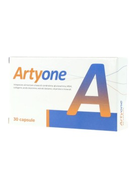 ARTYONE 30CPS SEIKOU