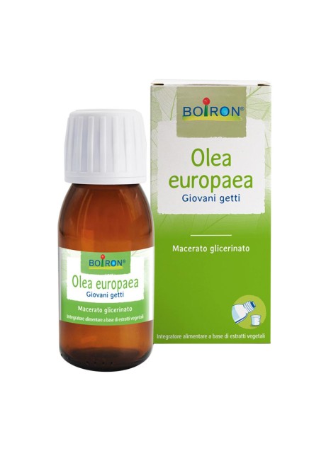 BO.OLEA EUROPAEA MG 60ML INT