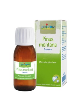 BO.PINUS MONTANA MG 60ML INT