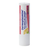 Dermoplasmine stick labbra protettivo - Boiron - 4 grammi