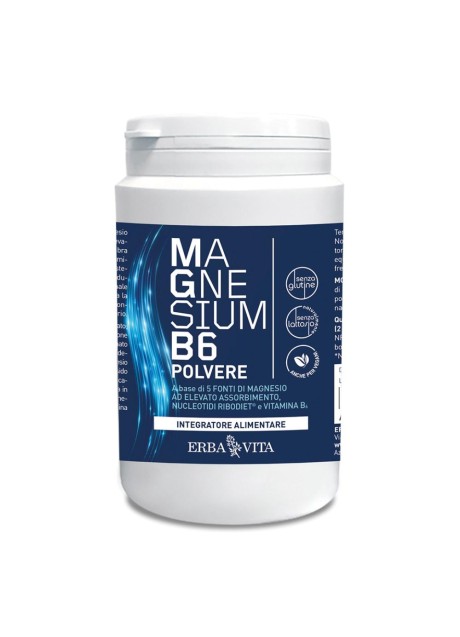 MAGNESIUM B6 POLV 200GR ERBA V