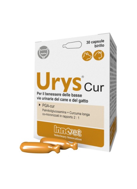 URYS CUR 30CPS BIRILLO