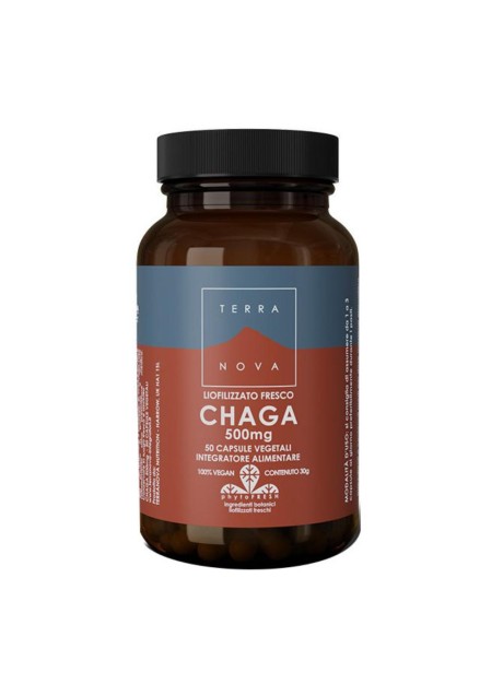 TERRANOVA CHAGA 50CPS