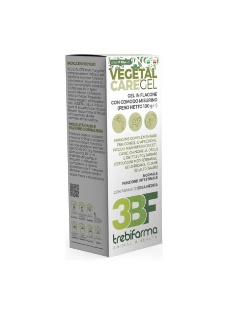 VEGETAL CARE GEL 100G
