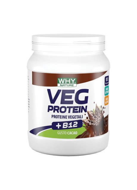 WHYNATURE VEG PROTEIN CAC 450G