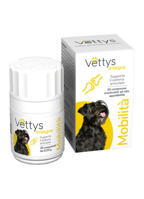 VETTYS INTEGRA MOBILITA' CANE