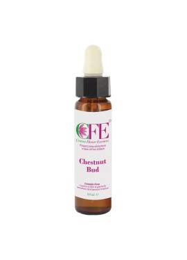 CHESTNUT BUD CEMON FLOWER ESSENCES STOCK BOTTLE 10 ML
