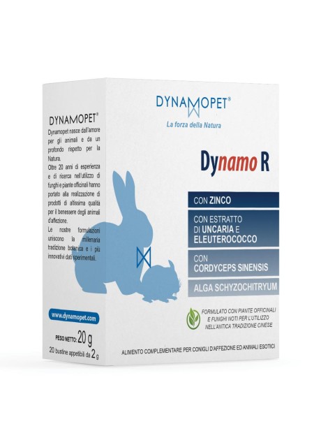 DYNAMO R 20BUST 2G