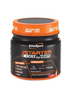 STARTER 1000 NEW GENER PRE WOR