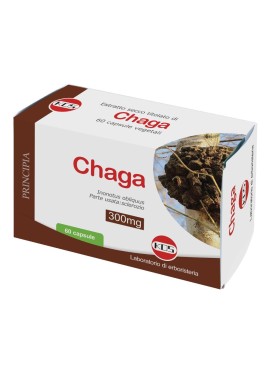 CHAGA FUNGO ES 60CPS