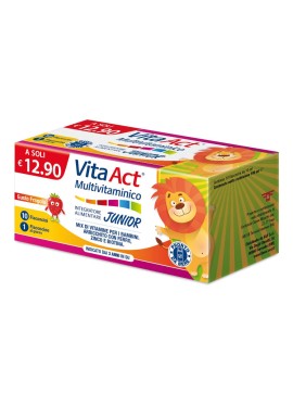 VITA ACT MULTIVITAMINICO J 10F