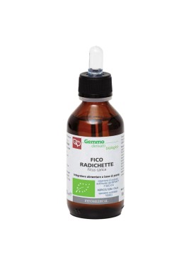 FICO RADICHETTE MG BIO 100ML