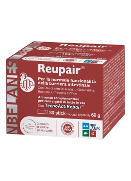 REUPAIR 30STICK