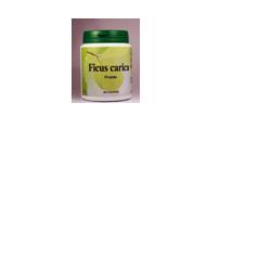 Ficus Carica 60CPS-image
