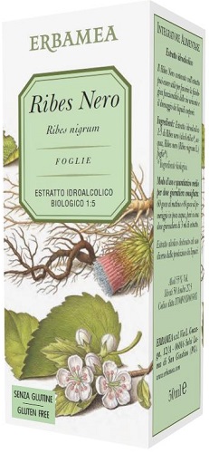 RIBES NERO 50ML ERBAMEA