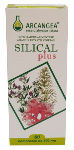 SILICAL PLUS 60CPR ARCANGEA