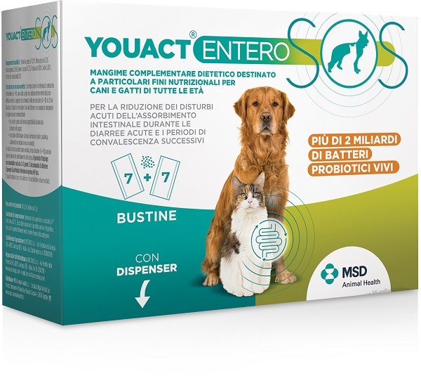 YOUACT ENTERO SOS 14BUST