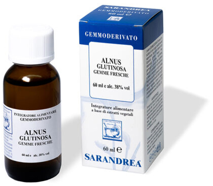 ALNUS GLUTINOSA 100ML MG