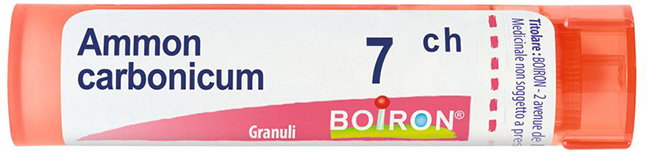 AMMONIUM CARB 7CH GR