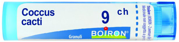 BO.COCCUS CACTI 9CH GR