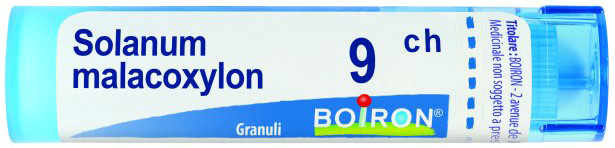 BO.SOLANUM MALACOXILON 9CH GR