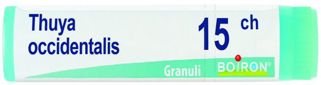 BO.THUYA OCC.15CH DOSE