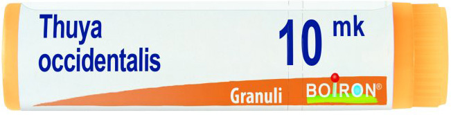 BO.THUYA OCCIDENTALIS XMK