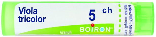 BO.VIOLA TRICOLOR 5CH