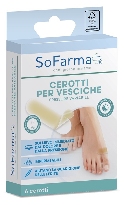 CEROTTO VESCICA PICCOLO 6PZ SF+