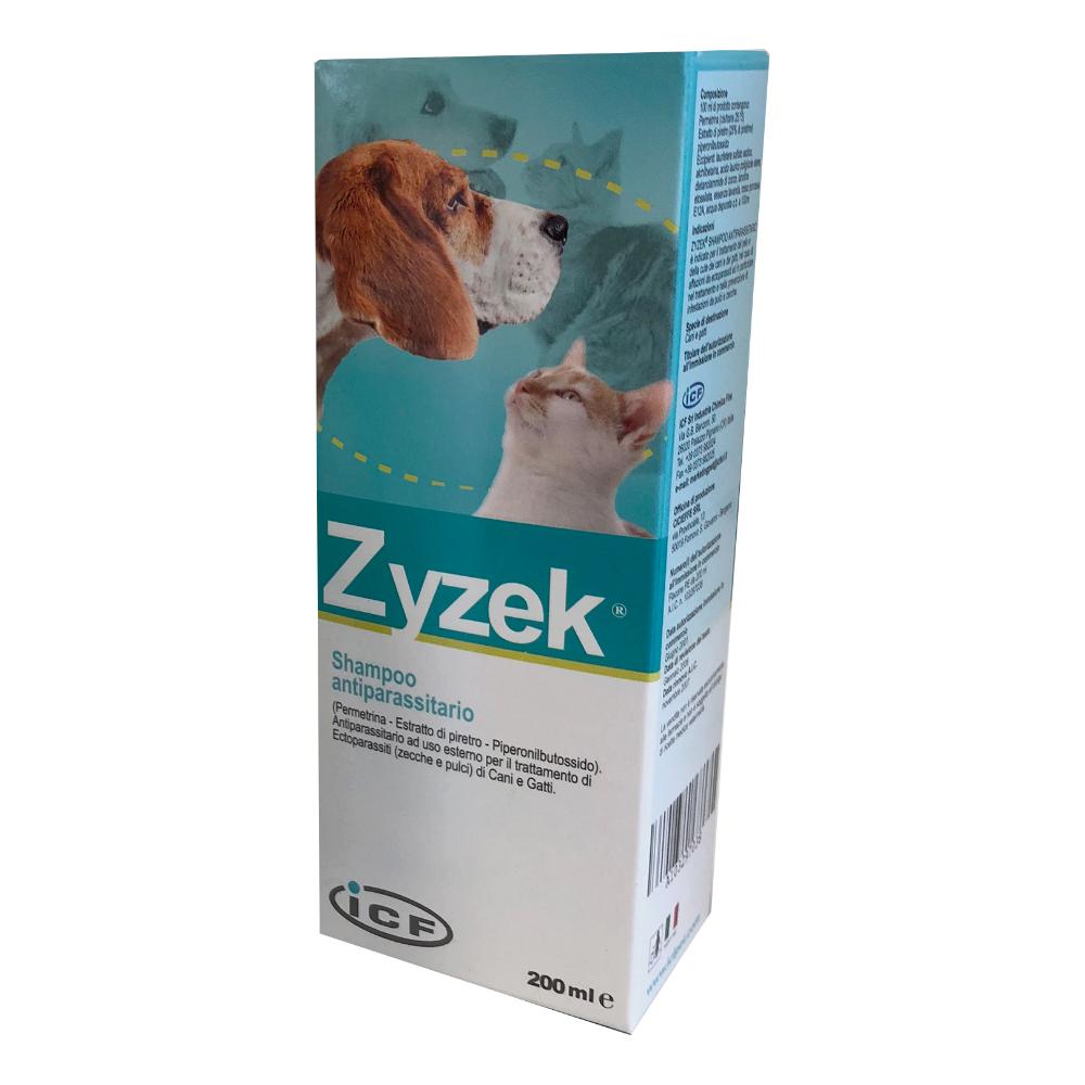 ZYZEK-SHAMPOO ANT FL PE 200ML