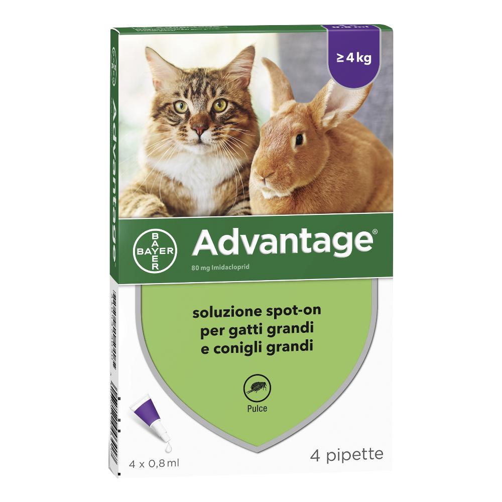 Advantage 4 pipette 0,8ml gatti superiori a 4kg