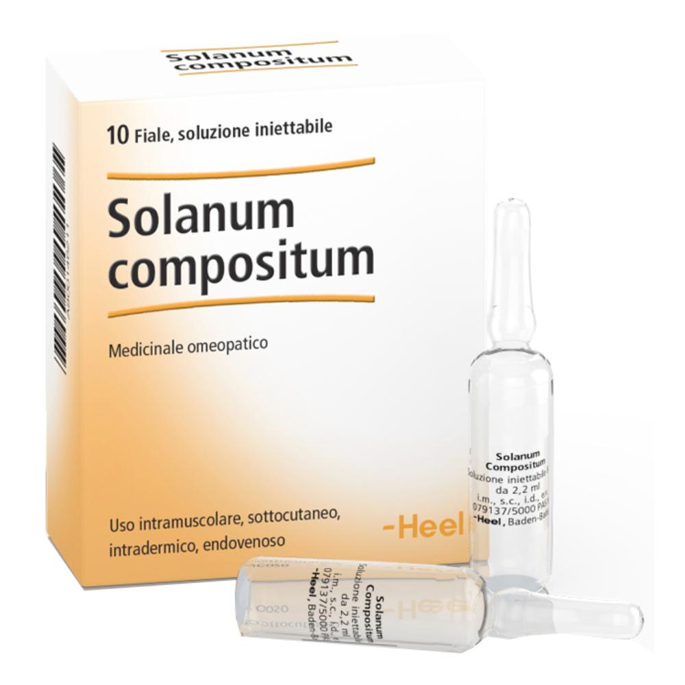 SOLANUM COMP 10FL HEEL