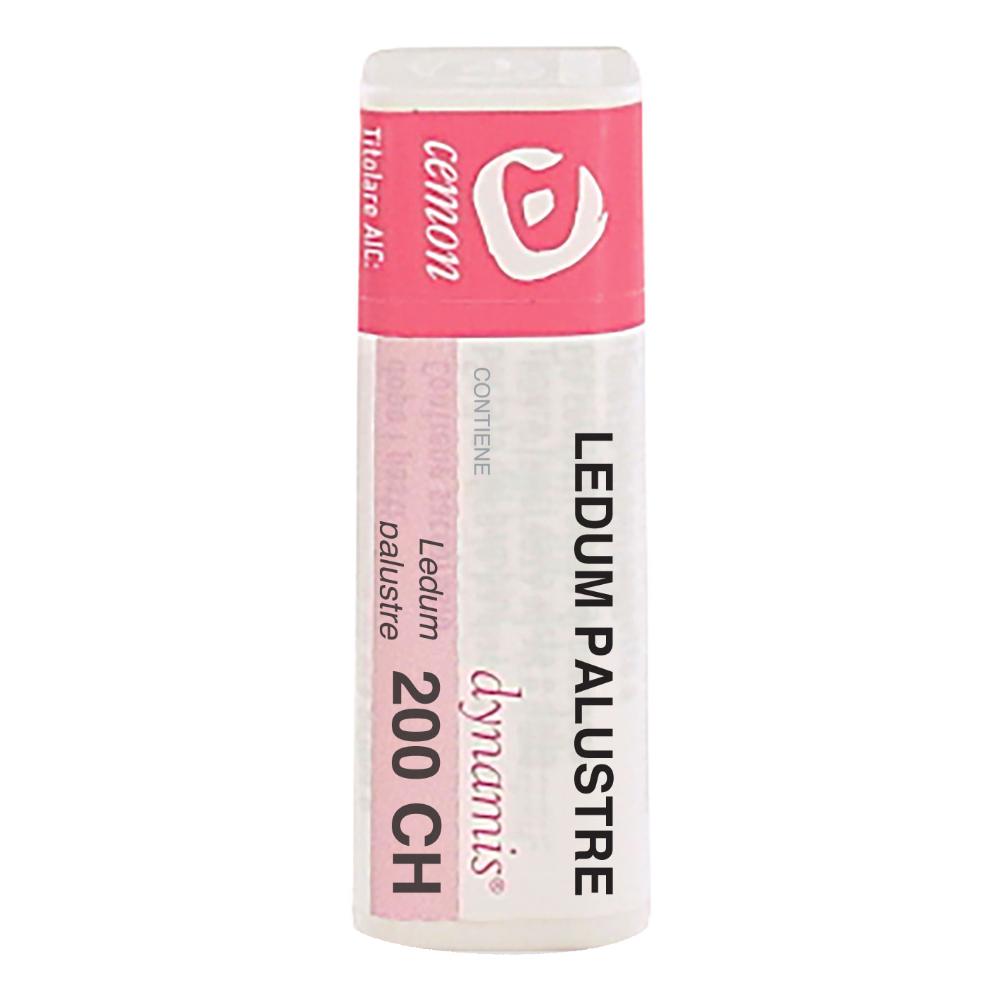 LEDUM PALUSTRE 200CH GL UNDA