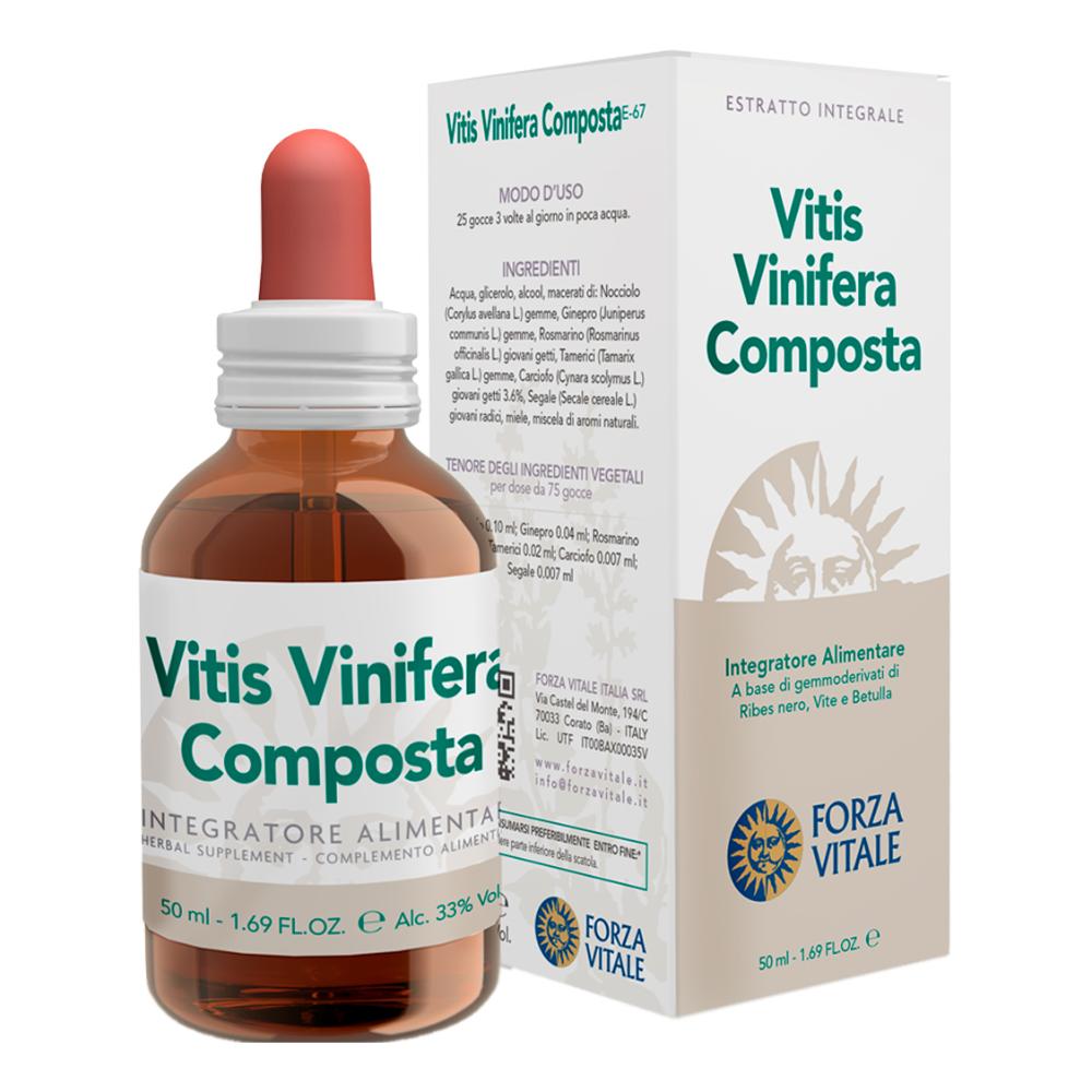 VITIS VINIFERA COMP ECOSOL FORZA
