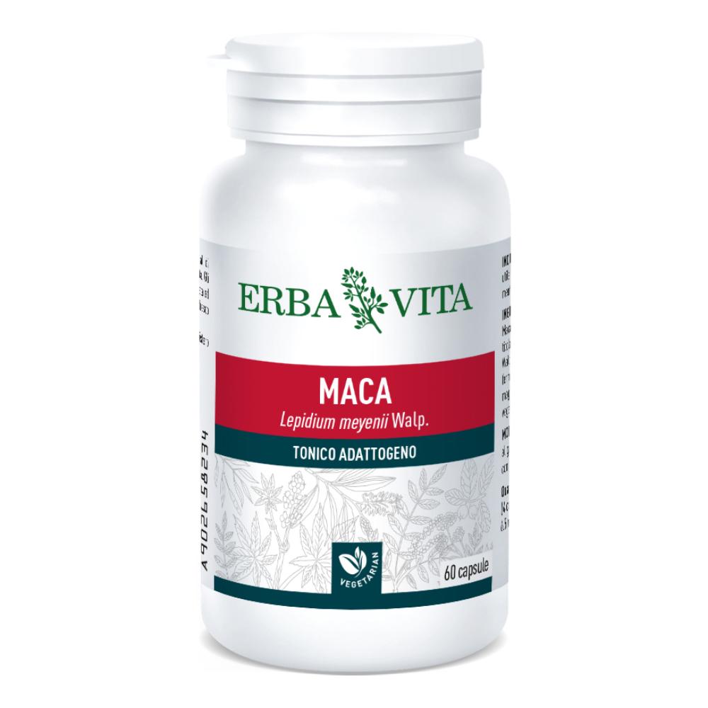 MACA 60CPS 400MG EBV<