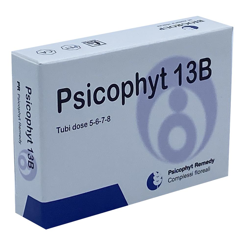 PSICOPHYT 13/B 4TB