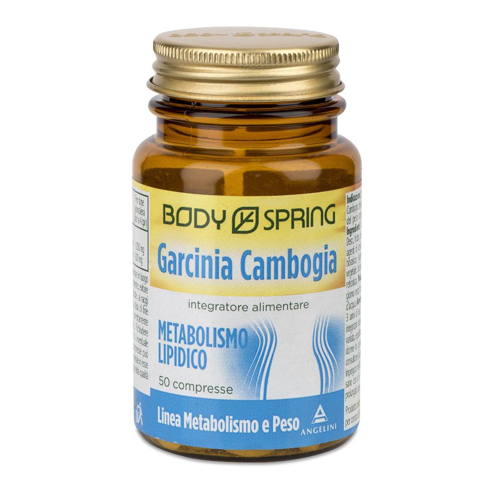 BS GARCINIA CAMB 50CPR BSP