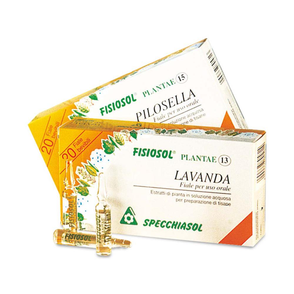 FISIOSOL 15 RAME 20F 2ML