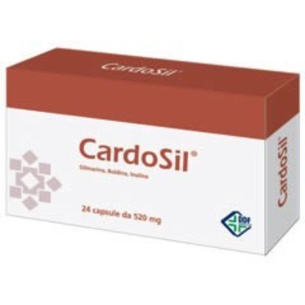 CARDOSIL-24CPS 500MG