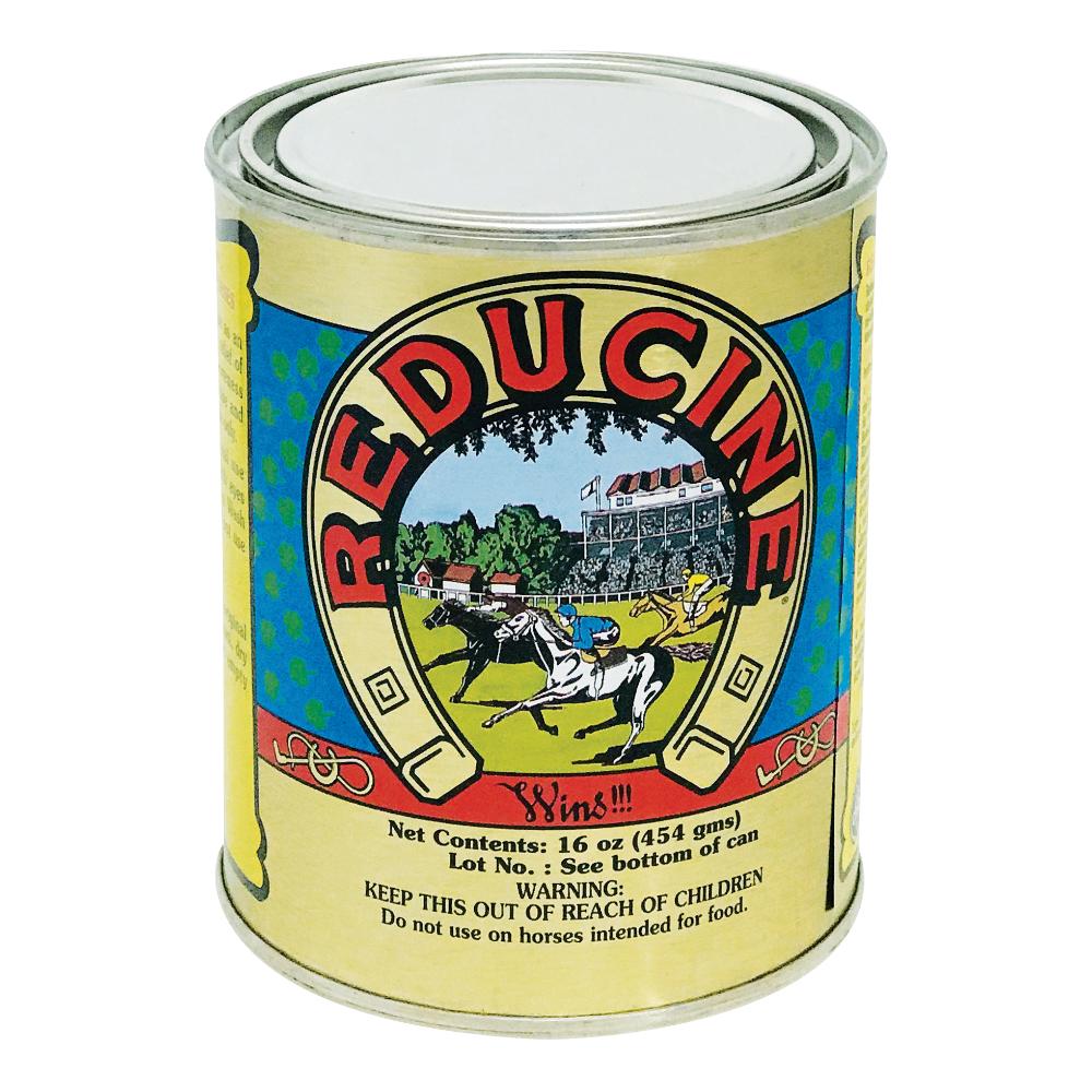 REDUCINE ABSORBENT 450 GR